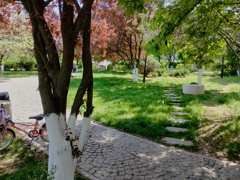 Luceafărul — amenajare parc urban — 11